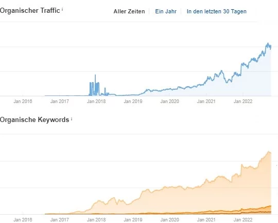 SEO-Betreuung B2B Shop