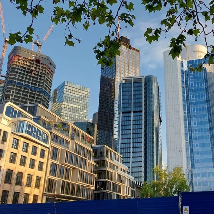 SEO Frankfurt